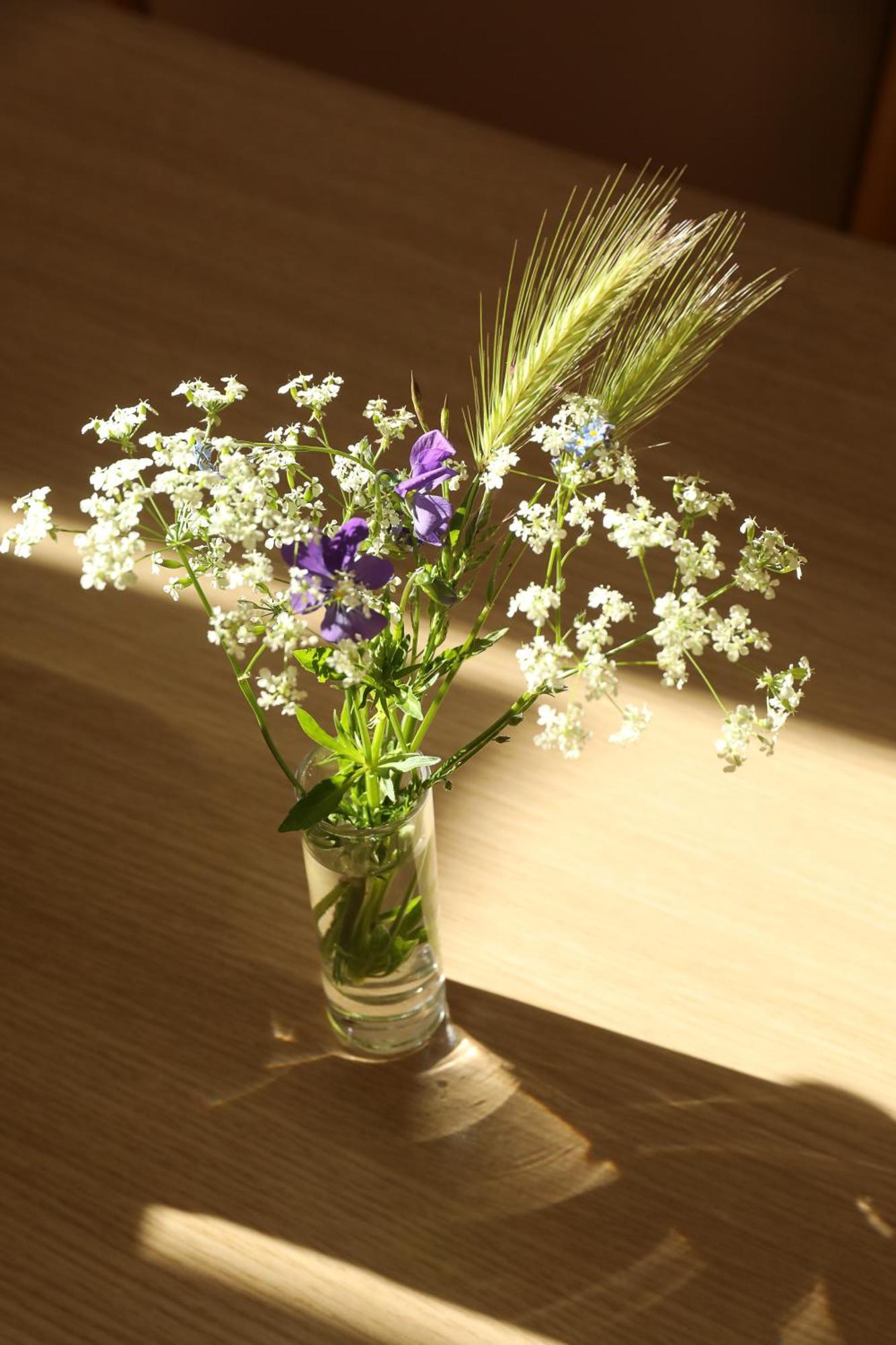 Lanarce Logis Hotel Spa Restaurant Le Provence מראה חיצוני תמונה