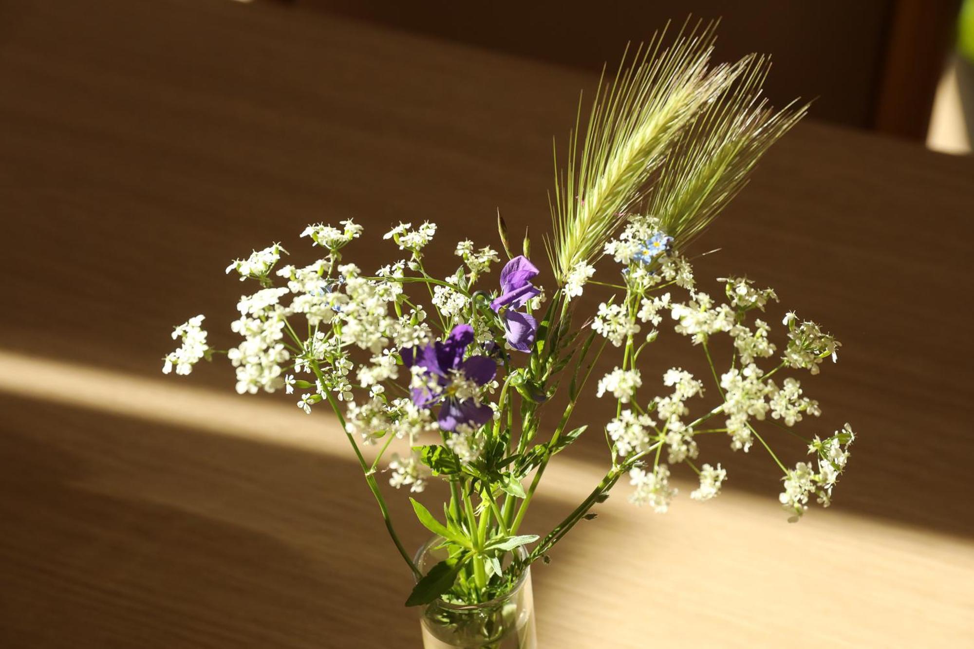 Lanarce Logis Hotel Spa Restaurant Le Provence מראה חיצוני תמונה